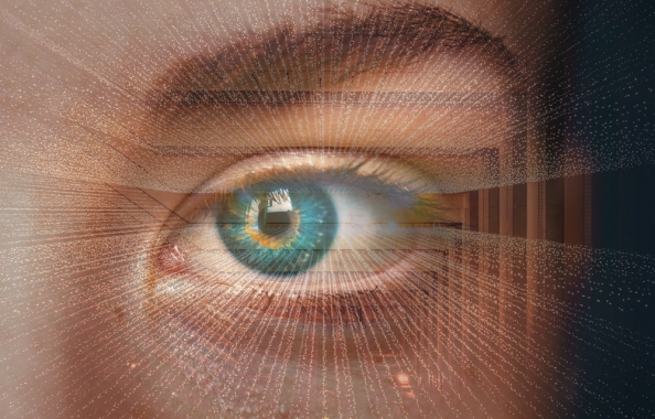 5 Eyes, 9 Eyes and 14 Eyes Surveillance
