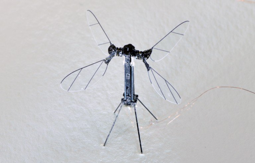 RoboBee drone