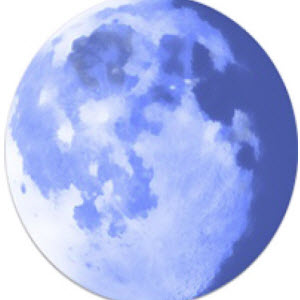 Pale Moon Browser