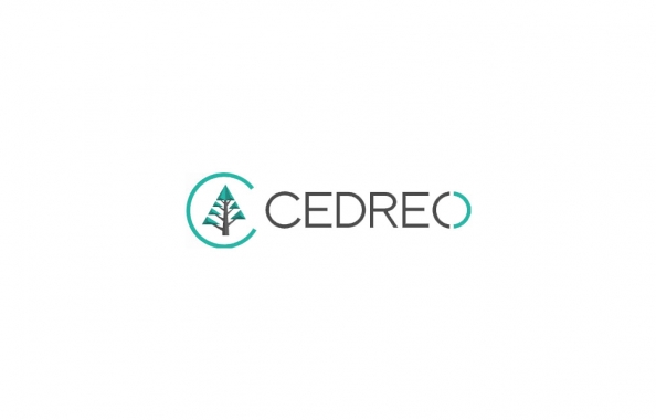 Cedreo 3D architecture software Review