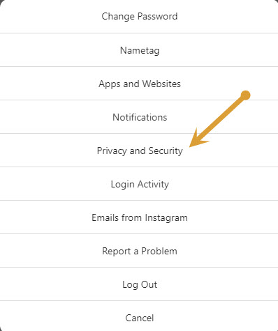 Instagram Privacy and Security