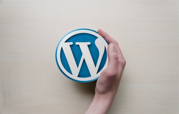 Advantages and Disadvantages of WordPress