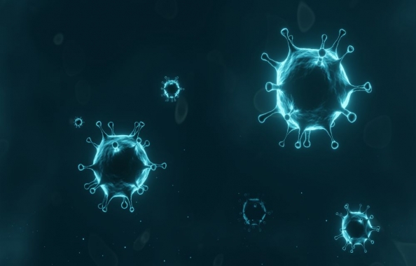 Best Apps to Track Corona and Other Deadly Viruses