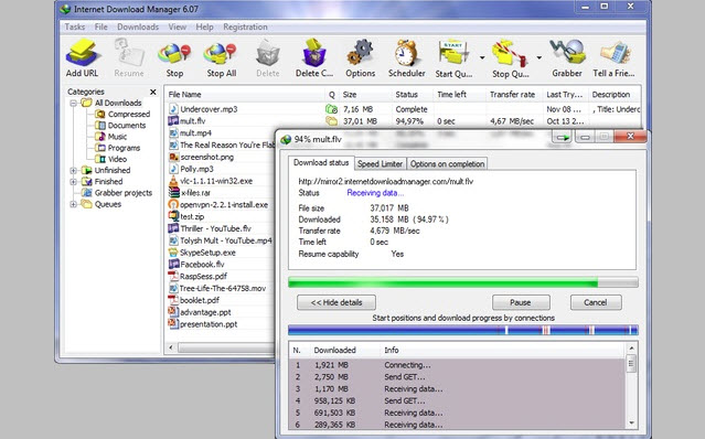 IDM Extension for Google Chrome