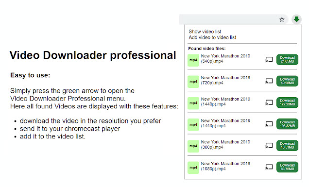 Video Downloader professional