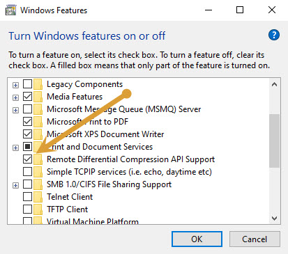 Disabling Remote Differential Compression API support option