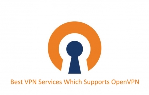 Best VPN Services Which Supports OpenVPN