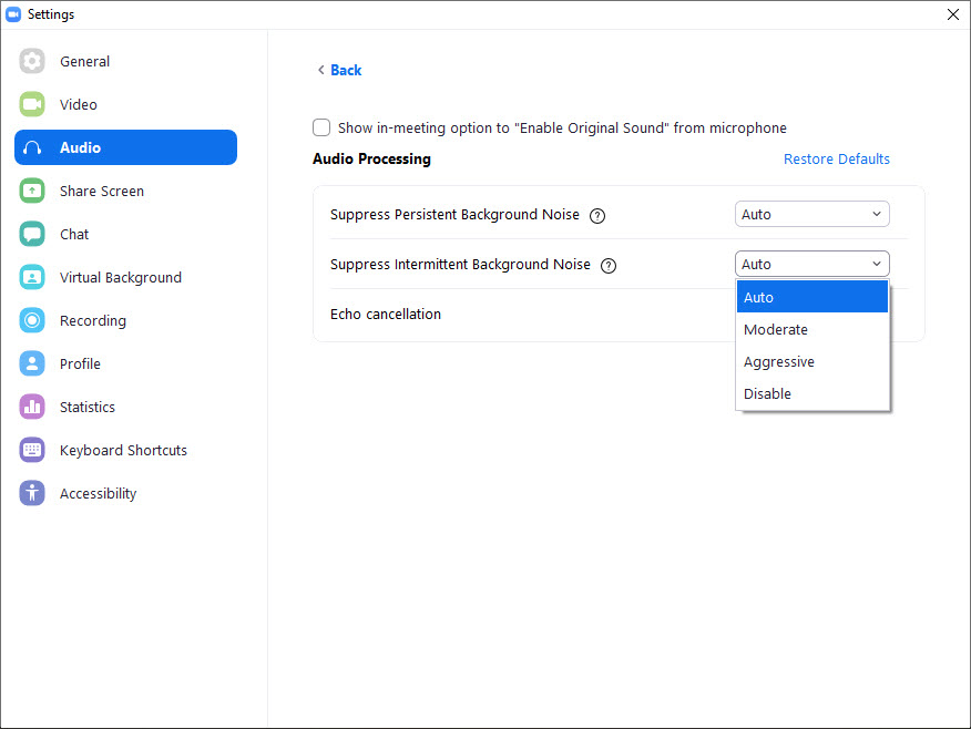 Audio processing options in Zoom
