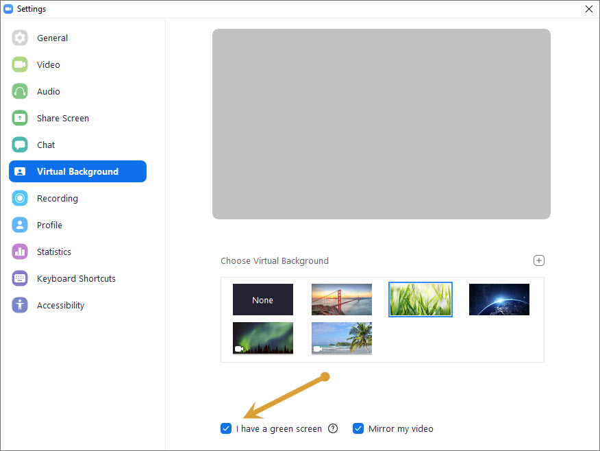 I have a green screen option in Zoom settings