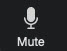 Mute and unmute on Zoom