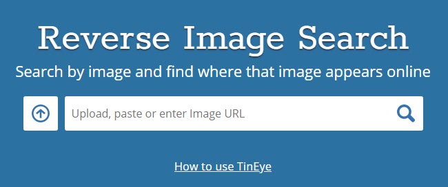 Reverse-Image-Search-Alternatives
