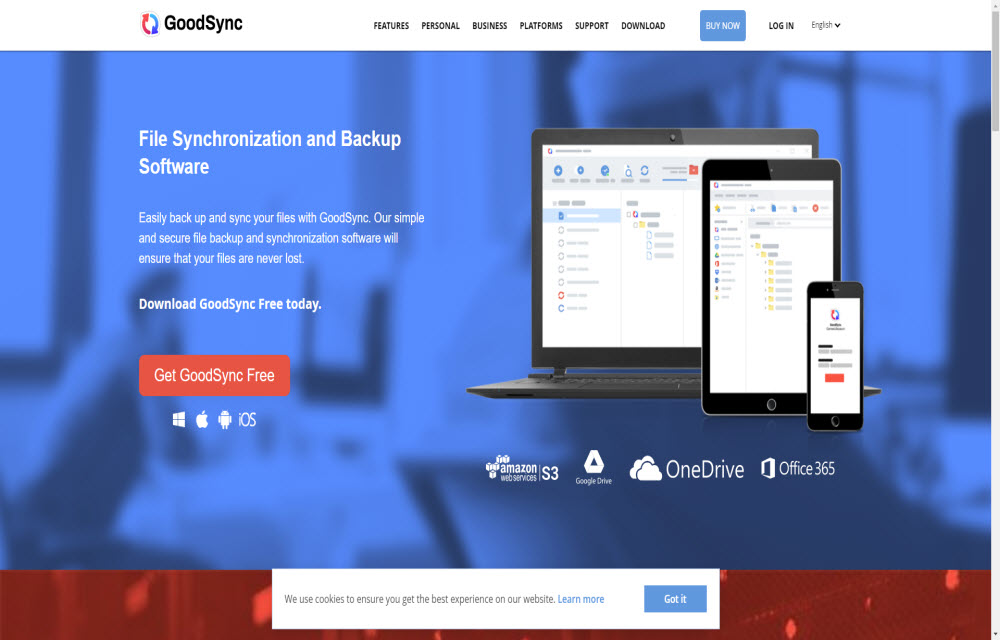GoodSync