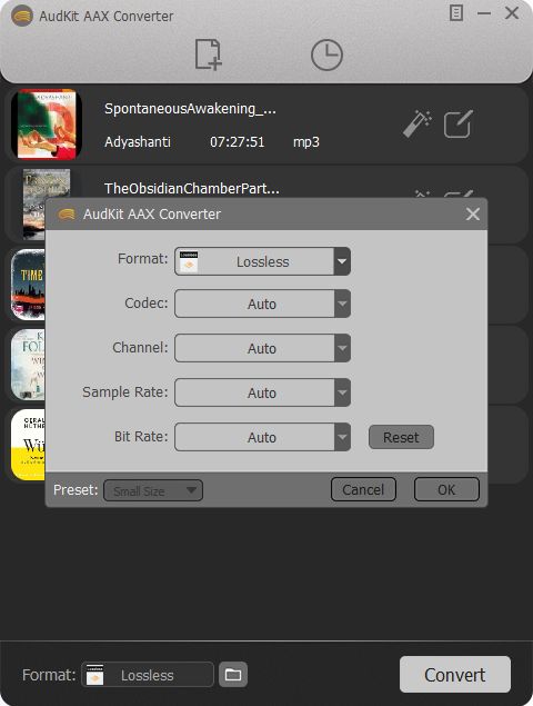 Lossless output