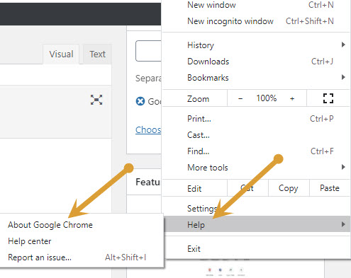 About Google Chrome