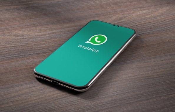 Verify WhatsApp Business Account Number