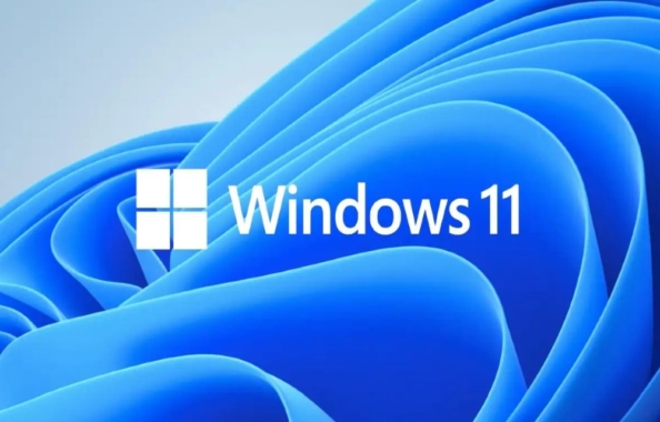 Windows 11