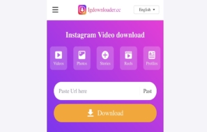 igdownloader review