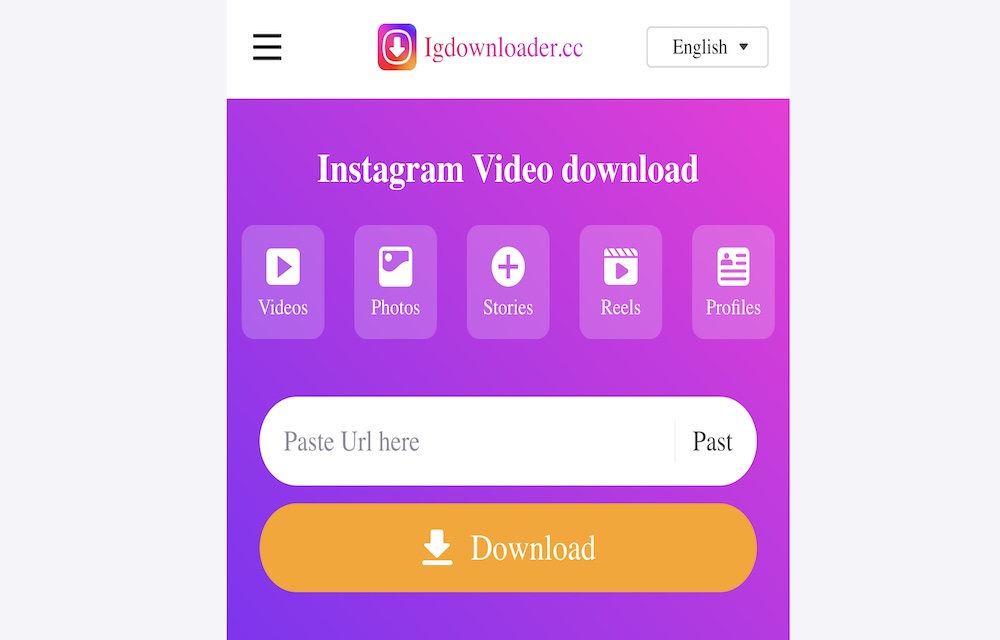igdownloader review